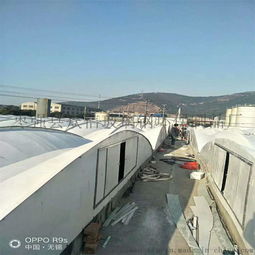 專業(yè)廠家加工制作玻璃鋼污水池蓋板防護(hù)蓋板 ,棗強(qiáng)縣衆(zhòng)信玻璃鋼環(huán)保制品廠