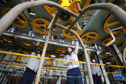 新春生產(chǎn)忙，搶抓開(kāi)門(mén)紅——生態(tài)資源監(jiān)測(cè)工作的新篇章