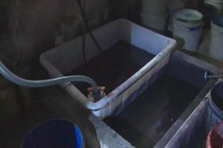 東莞紙制品廠偷排廢水被查封，生態(tài)資源監(jiān)測發(fā)出警示